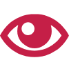 eye icon